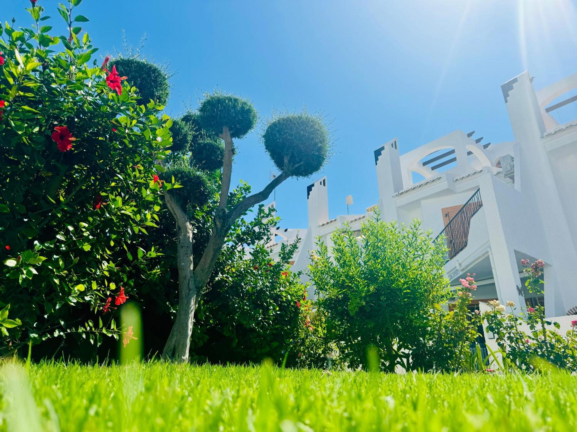 Vila Contemporary House In Cabo Roig Orihuela Exteriér fotografie